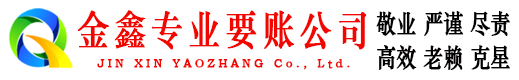 沙雅清债公司